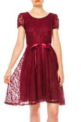 Solid, A-line, lace dress with short sleeves