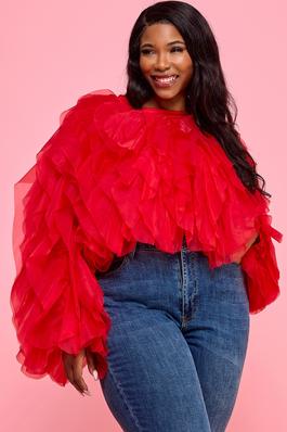 Long Sleeve Ruffle Tulle Crop Top Blouse
