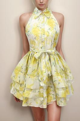 Sleeveless Floral Print Dress