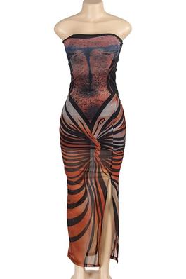 Leopard Print MESH Maxi Dress