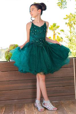 Lace tulle party dress