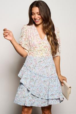 Ditsy floral and colorblock button-down dress