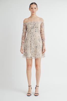 Semi-Sheer Lace Mini Dress