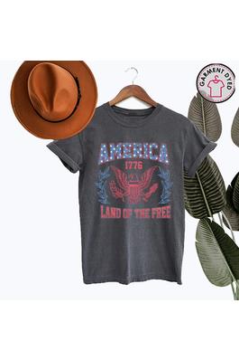 AMERICA LAND OF FREE GARMENT DYED GRAPHIC T SHIRT