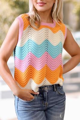Multicolour Striped Colorblock Knitted Vest