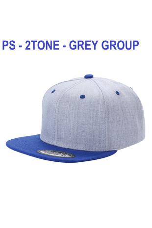 PS-2T-GREY GROUP-C3