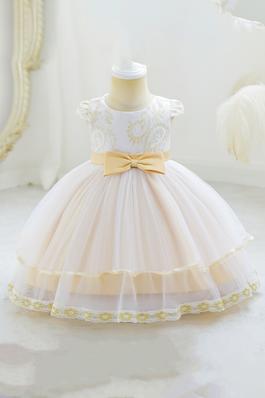 Embroidered Tulle Princess Birthday Party Dress for Girls