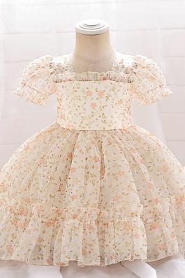 Christening Gowns Small Ruffles Mesh Puffy Dresses Printed Evening Gowns