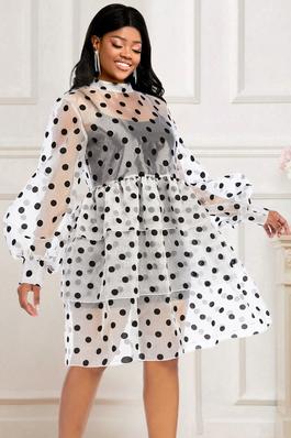 Sheer Long Sleeve Waist-Cinching Polka Dot Dress